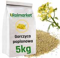Gorczyca ŻÓŁTA Na Poplon 5kg Nasiona Poplonowe Gorczycy Mieszanka Poplonowa