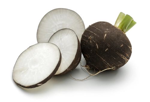 Rzodkiew Czarna Kulata Cerna 5G Nasiona Rzodkwi na Arena.pl