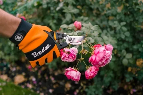 SEKATOR NOŻYCE DO KRZEWÓW GAŁĘZI KWIATÓW OGRODOWY + RĘKAWICE na Arena.pl