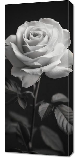 Obraz 40x90cm Płatki Róż zdjęcie 1