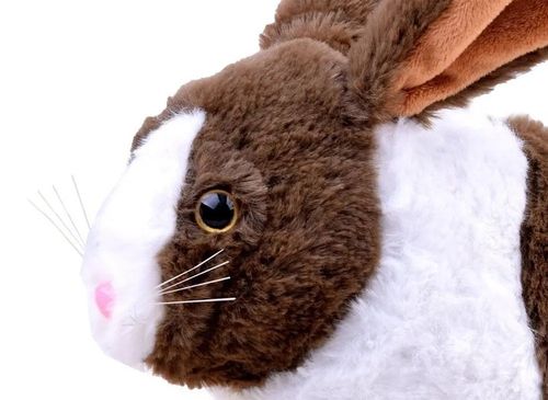 Interaktywny zwierzaczek chrupaczek Królik ZA2685 na Arena.pl