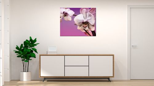 Obraz Na Płótnie 50X40 Kwiaty na Arena.pl