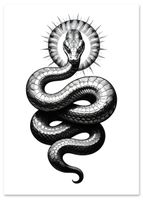 product-compare-61329206