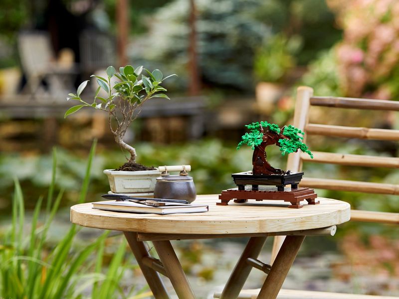 LEGO Botanical Collection Drzewko bonsai 10281 zdjęcie 10