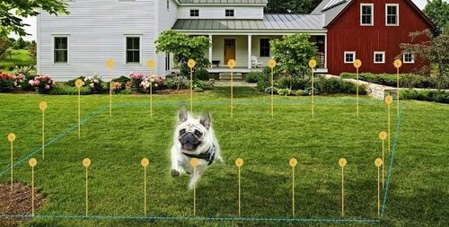 ELEKTRYCZNY PASTUCH DLA PSA KOJEC OGRODZENIE 300M na Arena.pl