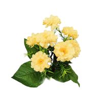 product-compare-61190263