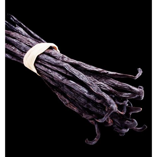 Yodeyma Black Elixir Woda Perfumowana Dla Kobiet 50ml na Arena.pl