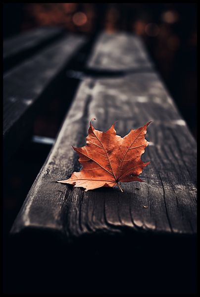 Plakat 61x91,5cm Pojedynczy Liść zdjęcie 2