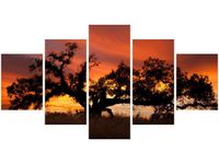 80CM 150CM OBRAZ 5 ELEM DĄB ZACHODZĄCYM SŁOŃCU DON MCCULLOUGH ŚCIENNY