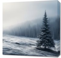 Obraz 60x60cm Samotna Choinka