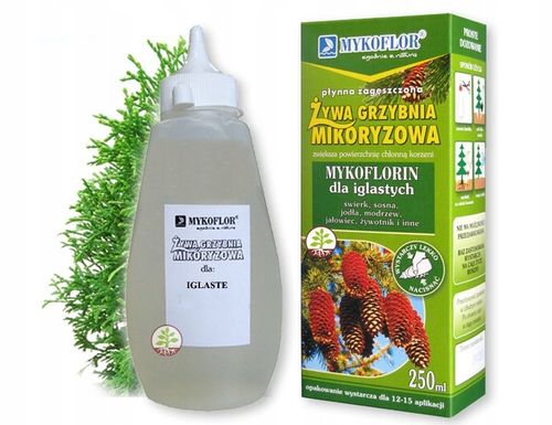 Mikoryza dla DRZEW IGLASTYCH grzybnia na Arena.pl