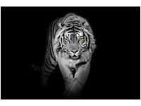 product-compare-58646484