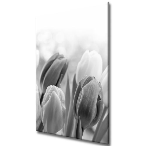 Obraz 80X120 Tulipan na Arena.pl