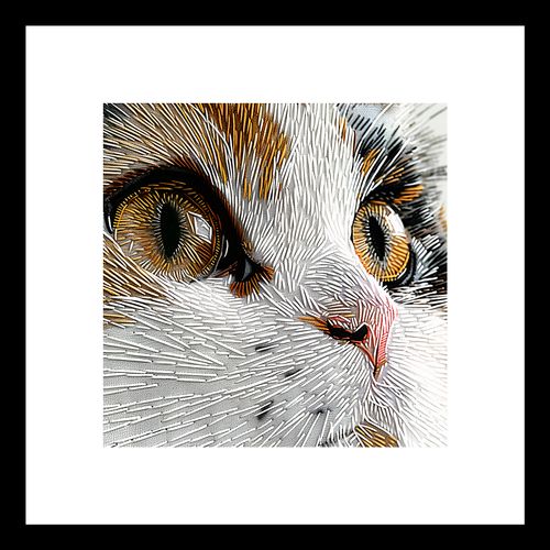 Plakat 20x20cm Nitkowany Kot na Arena.pl
