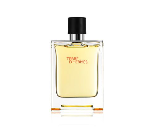 Hermès Terre D'Hermes 100ml woda toaletowa mężczyzna EDT na Arena.pl