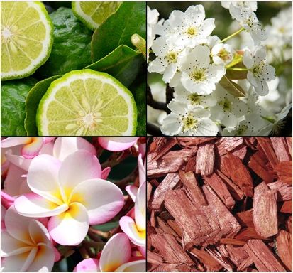 Tesori D'oriente Karma 500 Ml Płyn Do Kąpieli na Arena.pl