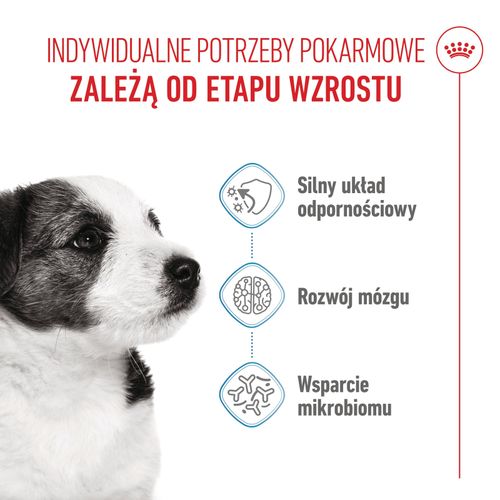 royal canin mini puppy 800g na Arena.pl
