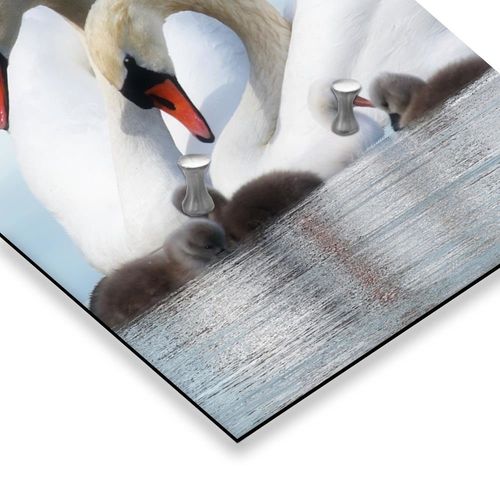 Wieszak, Łabędzie 40x118 na Arena.pl