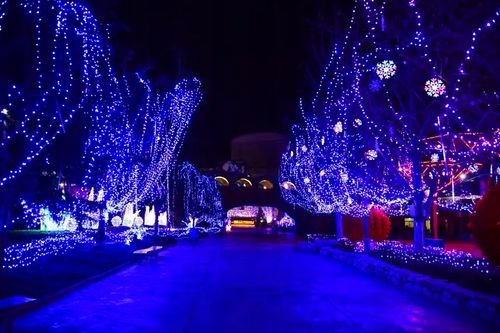 Lampki CHOINKOWE 500 LED FIOLETOWY zewnetrzne/wewnetrzne z programatorem na Arena.pl