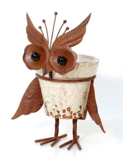 Donica Sowa na Arena.pl