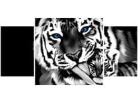 product-compare-58644243