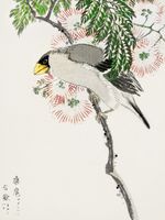 Plakat 15x20cm Masked Hawfinch, Kashu Japoński Vintage do Salonu