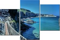 60 90CM OBRAZ 3 ELEM WIDOK MOSTU CARRICK-A-REDE ŚCIENNY DRUK PŁÓTNO