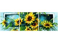 product-compare-58652852