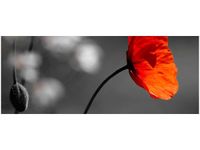 100X40CM SAMOTNY MAK JENNY DOWNING OBRAZ DREWNO