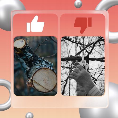 PIŁA ŁAŃCUCHOWA AKUMULATOROWA 6” 2xAKU 21V PILARKA GAŁĘZIÓWKA DUŻY na Arena.pl