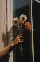 product-compare-59366791