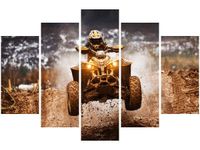 OBRAZ OFFROAD QUAD