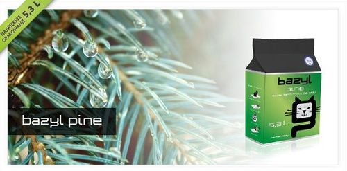 BAZYL Pine 5,3l na Arena.pl