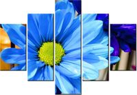 70 100CM OBRAZ 5 ELEM INTENSYWNE KOLORY JAMIE MCCAFFREY DRUK PŁÓTNO