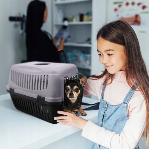 TRANSPORTER DLA PSA KOTA KRÓLIKA KLATKA KOJEC BOX DUŻY SZARY SOLIDNA na Arena.pl