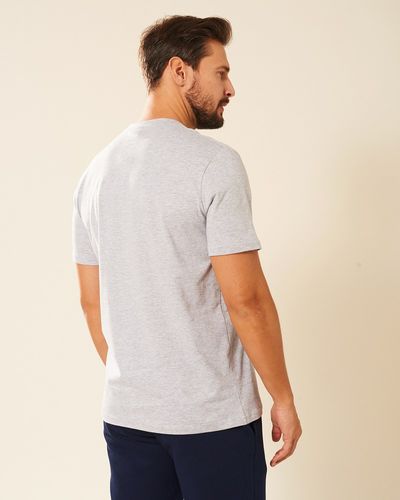 Koszulka męska szara Aleksander Rozmiar - L na Arena.pl