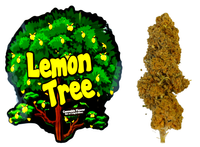 Susz CBD konopny Lemon Tree 20G