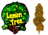 Susz CBD konopny Lemon Tree 20G