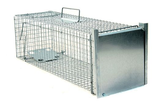 żywołapka pułapka lisy kuny wydry bobry koty na Arena.pl