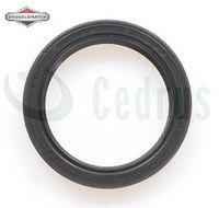 Uszczelniacz wału B&S dolny Intek / Powerbuilt CZĘŚĆ ORYGINALNA 795387