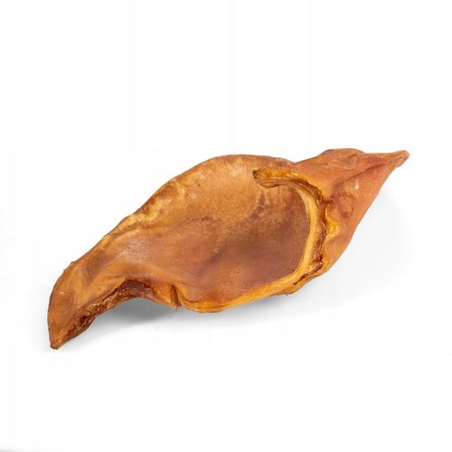 HOCKY Przekąska Przysmak Suszony Gryzak dla Psa Ucho Wieprzowe 10 szt. na Arena.pl