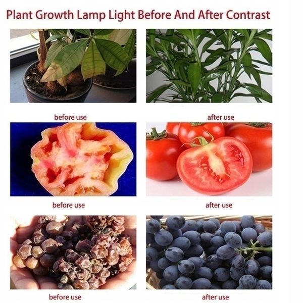 NOWOŚĆ HALOGEN GROW 30 W led DO UPRAWY ROŚLIN W-WA zdjęcie 7