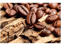 product-compare-58646757