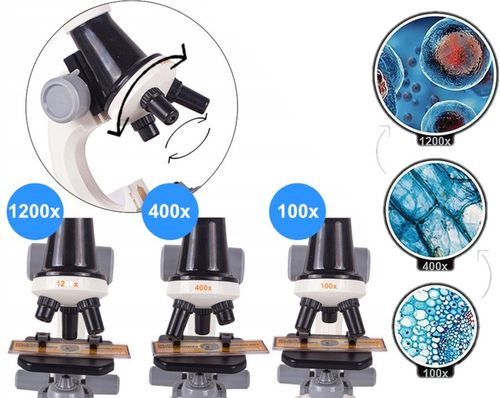 Mikroskop Naukowy Dla Dziecka Szkolny 1200x Prezent ZESTAW PREPARATÓW 24 el na Arena.pl