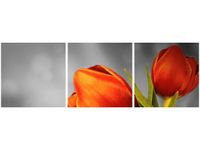 product-compare-58647448