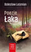 Polska poezja XX w. Poezje. Łąka