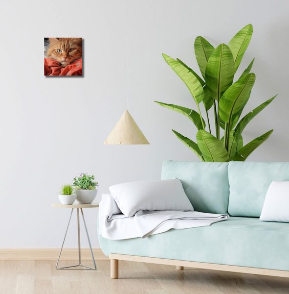 Obraz 20x20cm Mruczący Spokój zdjęcie 2