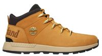 Buty męskie Timberland EURO SPRINT TREKKER (TB0A1XVQ2311) 44
