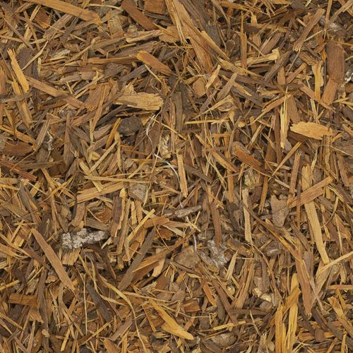 Catuaba 250g na Arena.pl