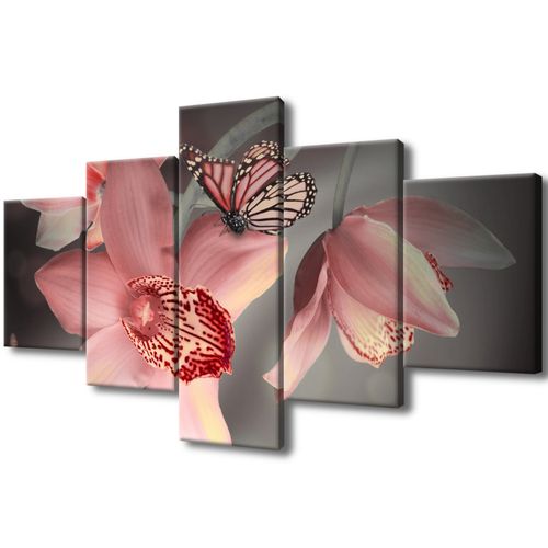 Obraz Drukowany 125X70 Motylek Na Storczyku na Arena.pl